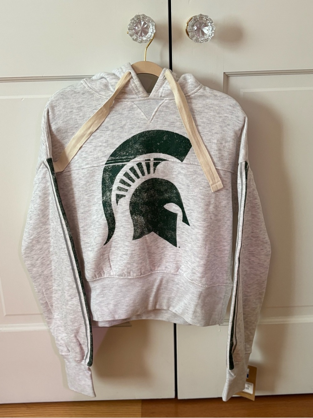 Michigan State University Gray Hooded Sweatshirt with Dark Green Spartan Graphic